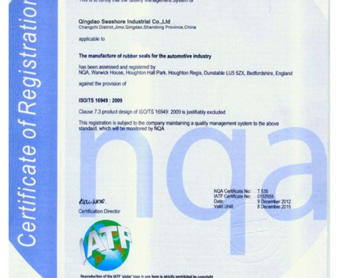 TS16949 Certification 01